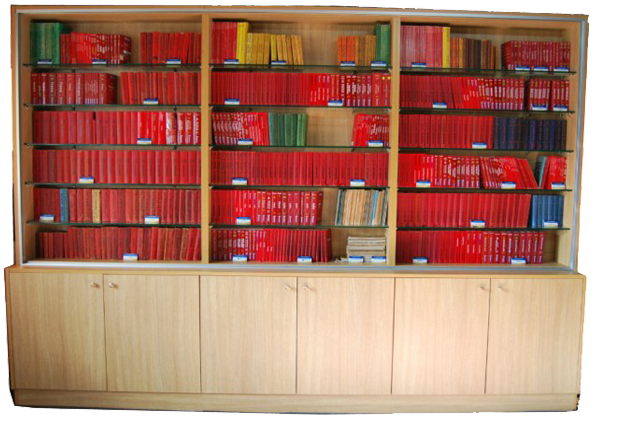 vitrina coleccion copia2